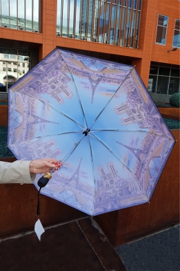 Зонт три слона складной голубой