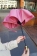 Складной зонт три слона розовый