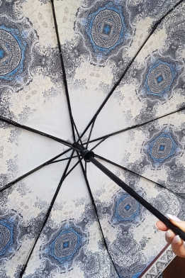 Зонт женский c рисунком внутри купола