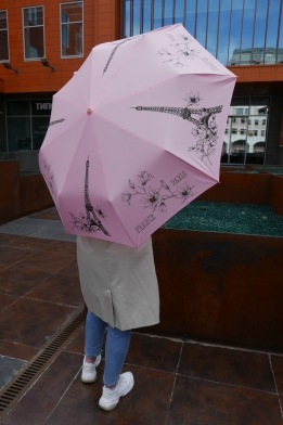 Зонт три слона автомат Париж розовый